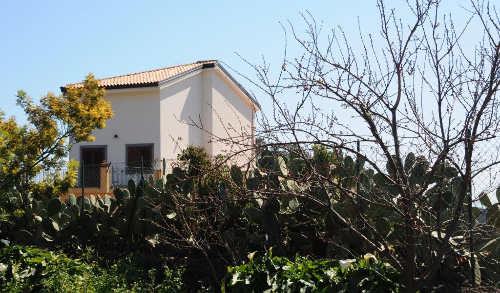 La Circumetnea Home كاتانيا المظهر الخارجي الصورة