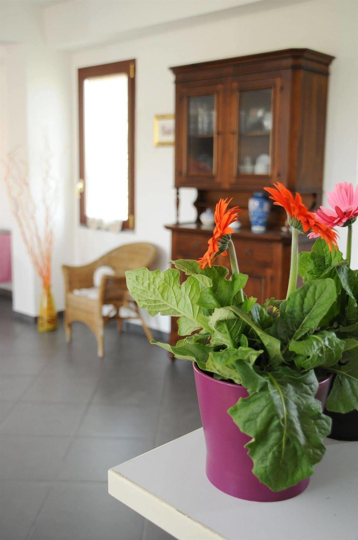 La Circumetnea Home كاتانيا المظهر الخارجي الصورة